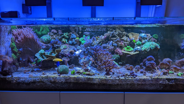 Petite réorganisation