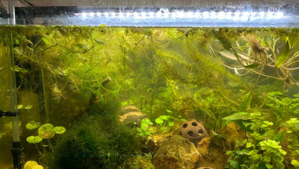 60 litres 04/03/2022