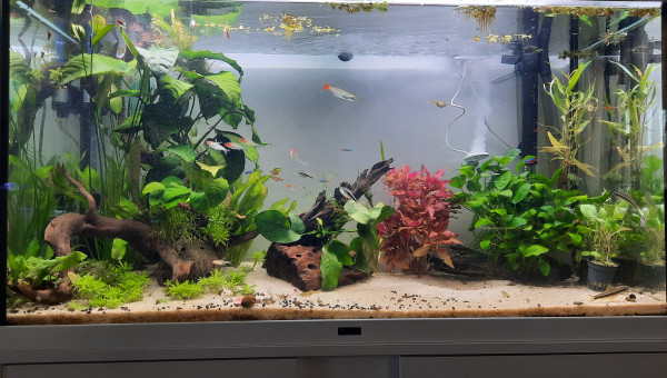 180  litres, 160 Litres net