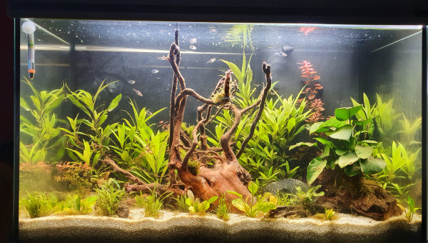 Bac communautaire eau douce