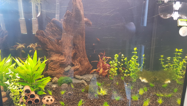 Autre style, plus en hauteur