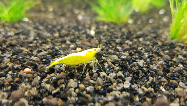 j'aime ma nouvelle maison