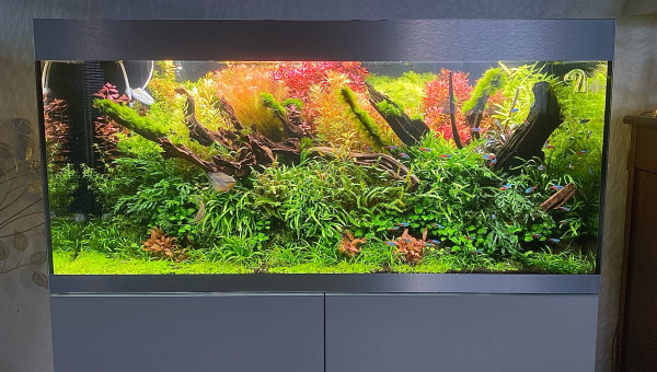 300L NA Aquascaping communautaire