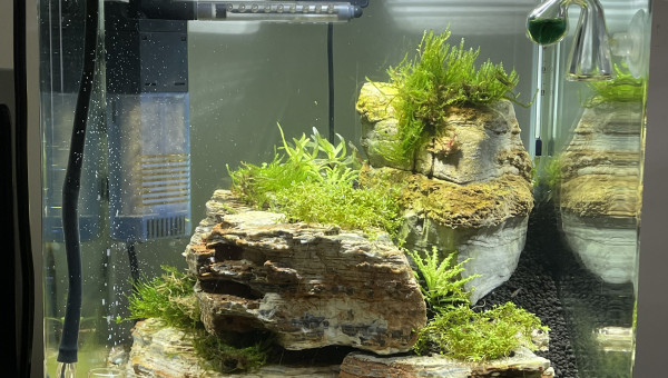 J+23 après mise en eau