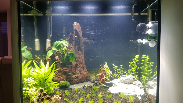 Nouvel éclairage mise en place. 7200 lumens. J'adore.