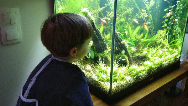 Moment calme avant le coucher...