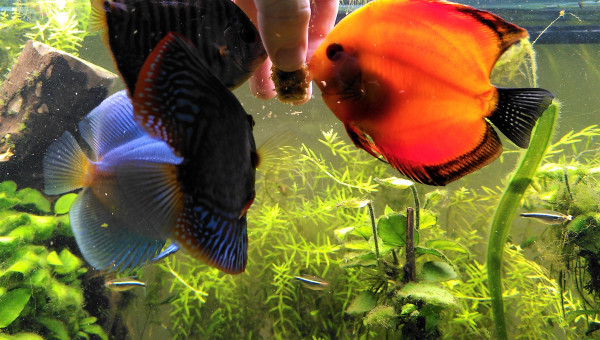 Confiance grandissante