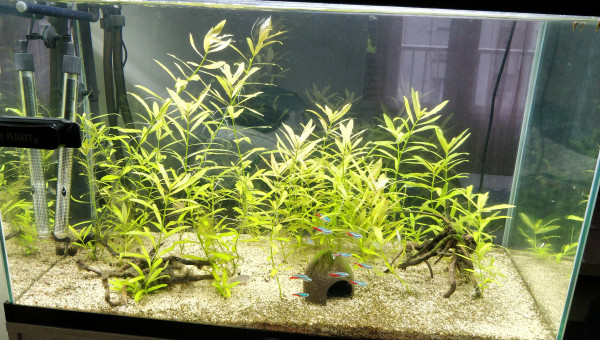 Après déménagement