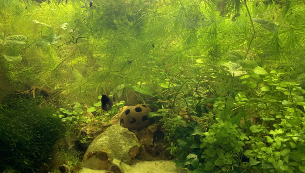 60 litres 31/03/2022