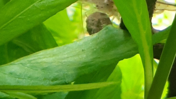 C'est tout pour moi....