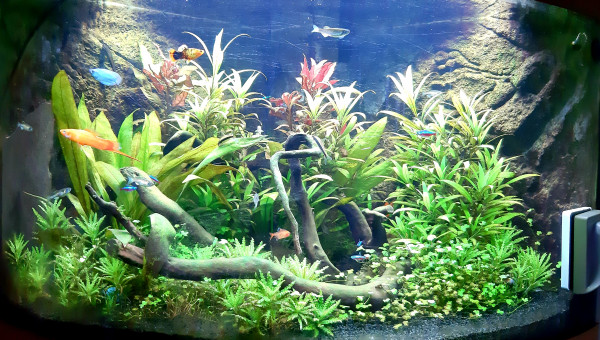 Après 3 mois sous CO2