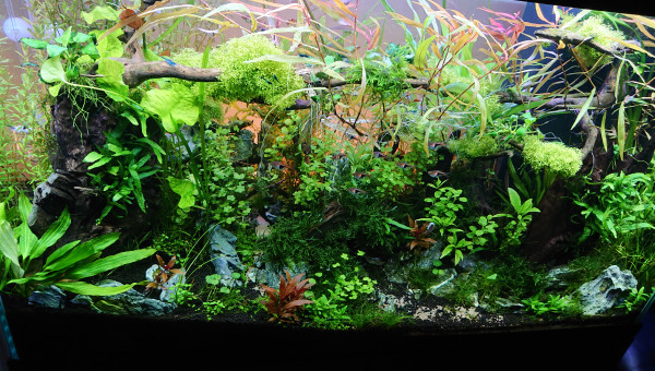 Changement de l'orientation de la Tripartita 3