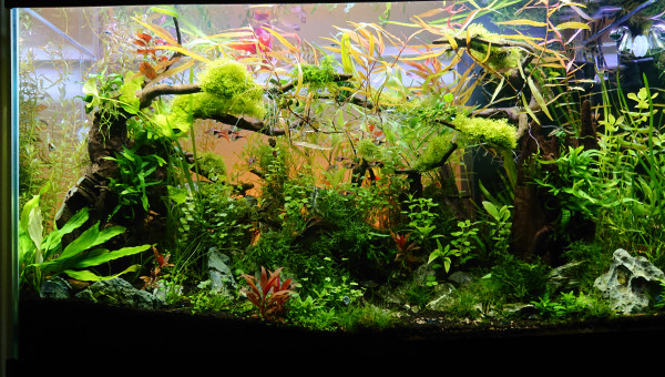 Changement de l'orientation de la Tripartita 2