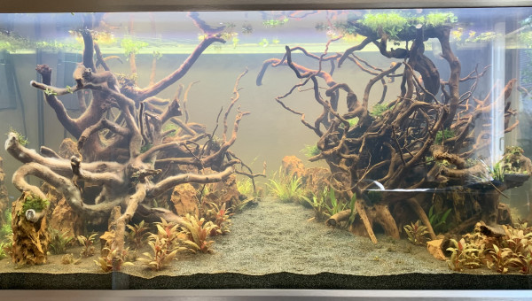 Poursuite du cyclage