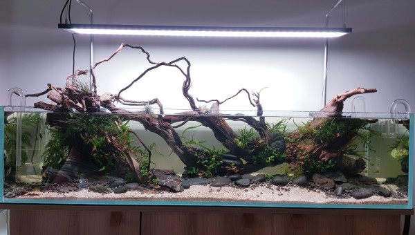 Rescape