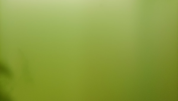 Eau verte pour Crustacé daphni