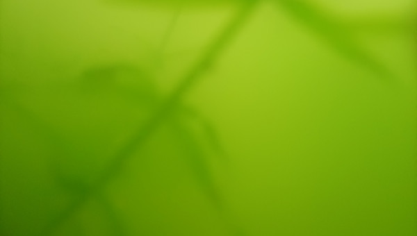 Eau verte pour Crustacé daphni