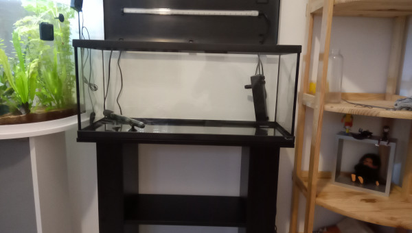 Nouvel aquarium
