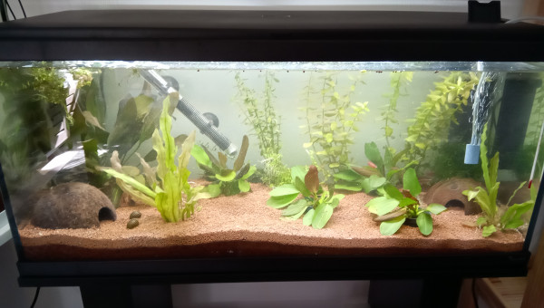 Ajout de nouvelles plantes