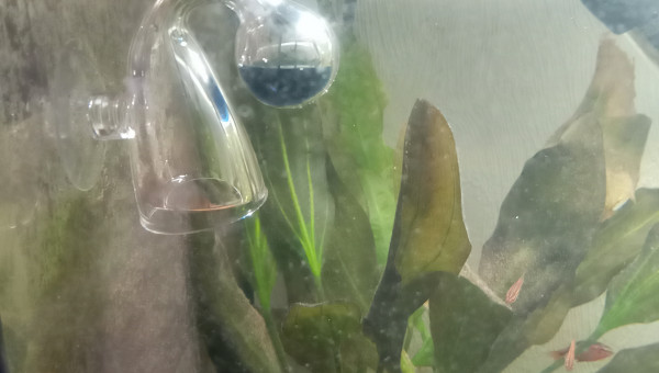 Ajout d'un testeur CO2