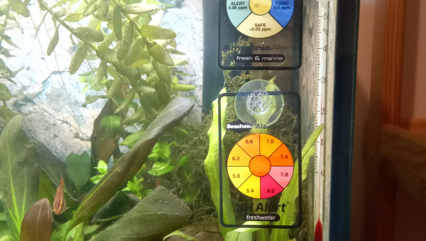 Ajout de tests permanents ph et ammoniac