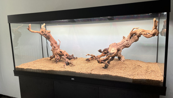 450l - installation du décor