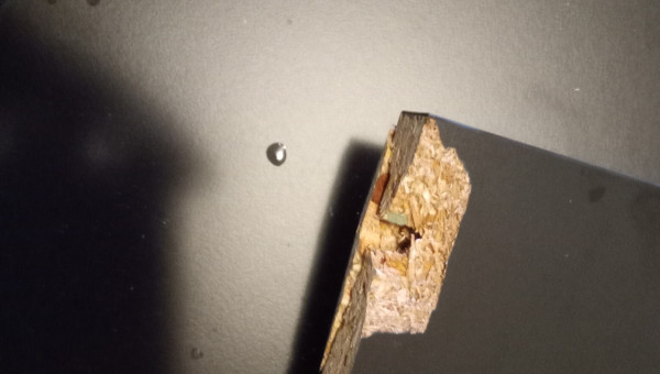 Meuble cassé, l'aquarium a survécu