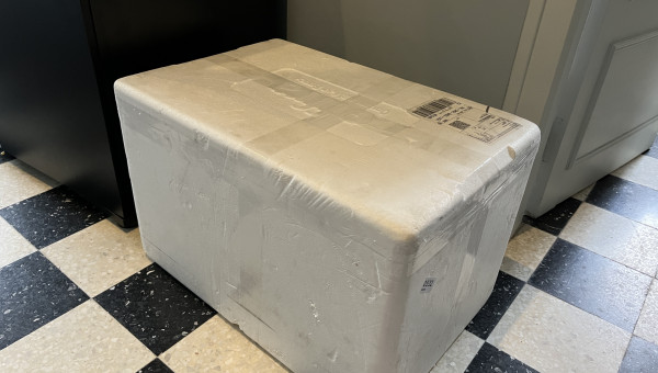 Plantation et remplissage