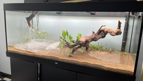 Plantation et remplissage