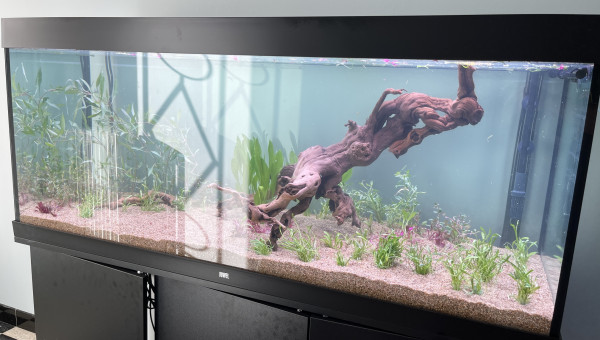 Plantation et remplissage