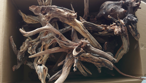 ça sent le rescape...