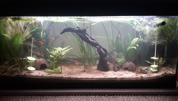 Retour à la (presque) normale