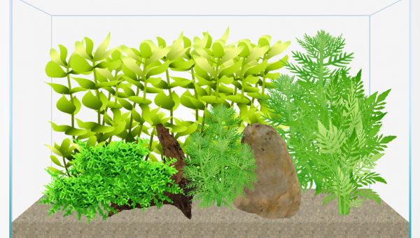 Juste pour illustrer un peu