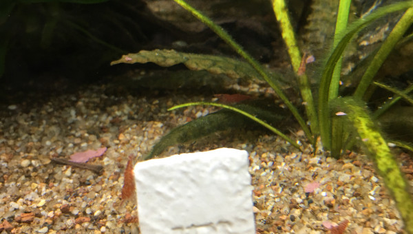 Une communication spéciale à faire ?