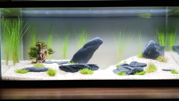 Il n'y a plus qu'à...