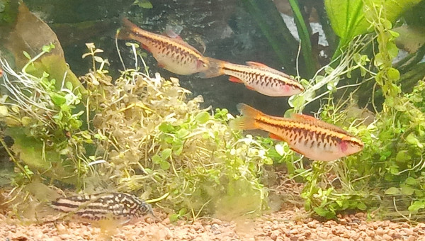 Légèrement meilleures photos