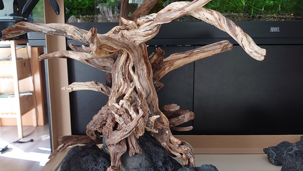 ReScape : épisode 2