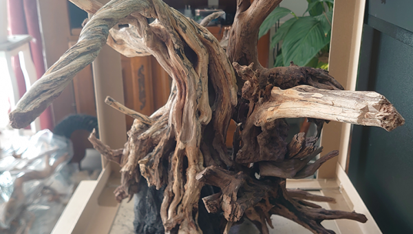 ReScape : épisode 2