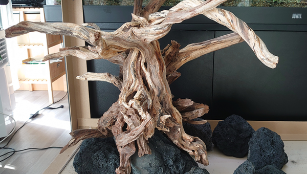 ReScape : épisode 2