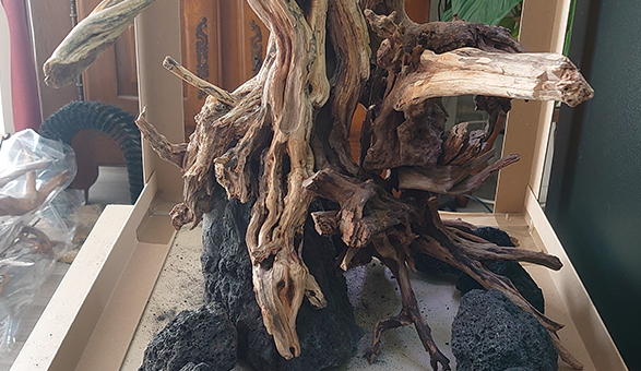 ReScape : épisode 2