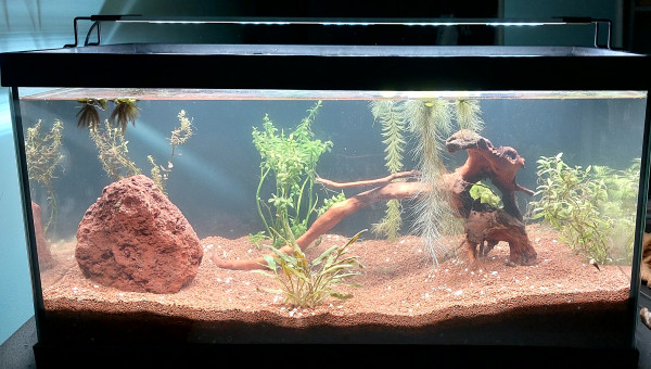 Bac 60L remise à zéro (killis)