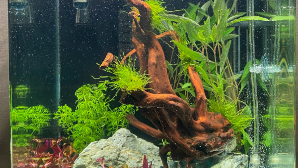 Nano 30L mise en eau