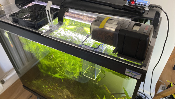 Installation estivale ventilateur avec thermostat et distributeur de vacances