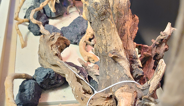 ReScape : épisode 3