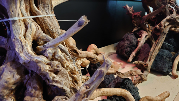 ReScape : épisode 3