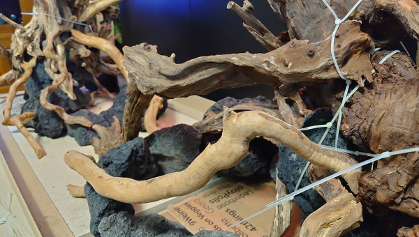 ReScape : épisode 3