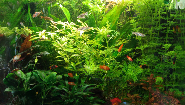 Post retour de vacances