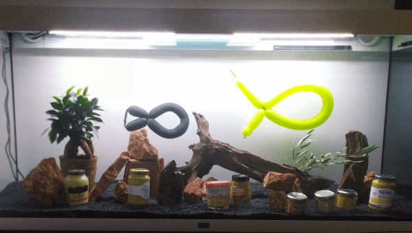 bac version "Anniversaire", avant sa mise en eau ;-)