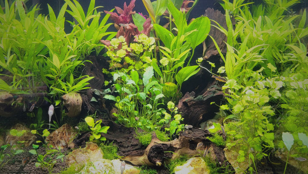 3 mois après le démarrage