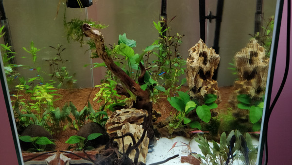 Réfection complète du bac.